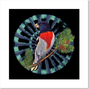 Rose-breasted Grosbeak Retro Circle Wheel Design Posters and Art